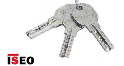 Eigenaardig accent Kabelbaan ISEO R6 sleutels te bestellen op sleutelcode - SKG veiligheidssloten,  cilinders, beslag, raamsluitingen bij Slotenshop.nl de inbraakpreventie  winkel